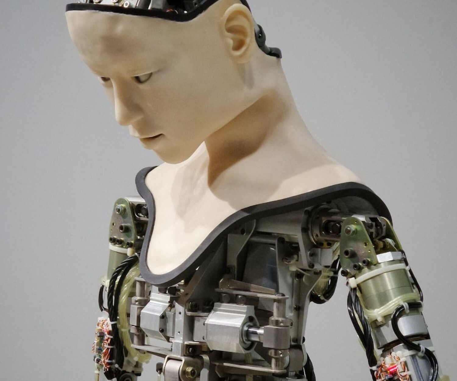 white and brown human robot illustration